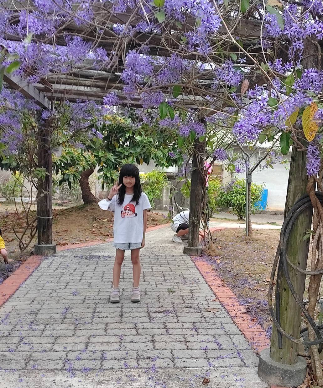 LINE_ALBUM_115.03.26微熱山丘-老樟母女樹-手工水餃_260402_2