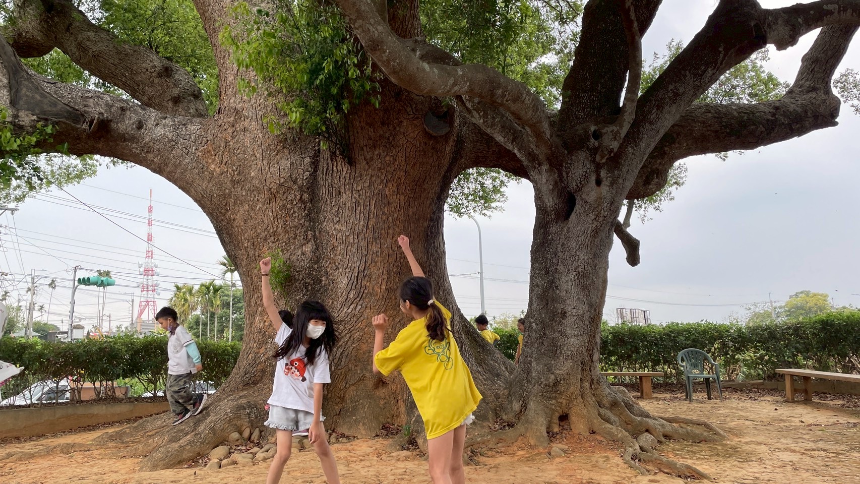 LINE_ALBUM_115.03.26微熱山丘-老樟母女樹-手工水餃_260402_4